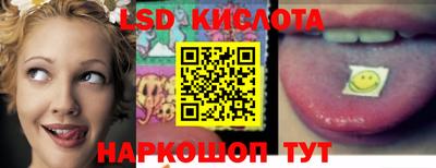 spice Брянск